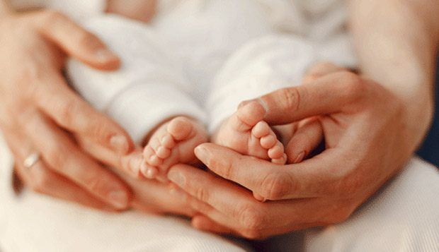 单身代孕多少钱